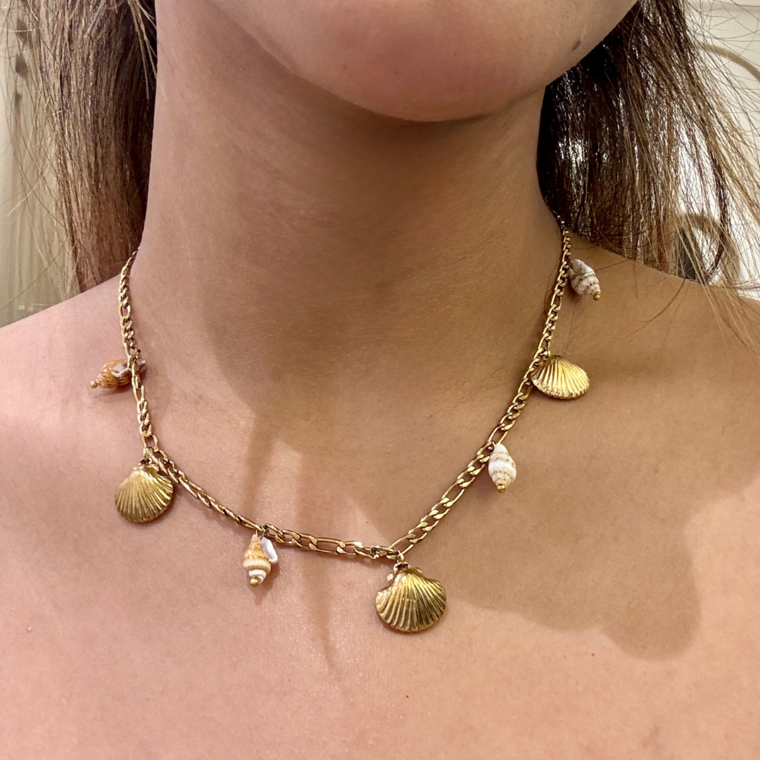 Sea Shell Charm Necklace
